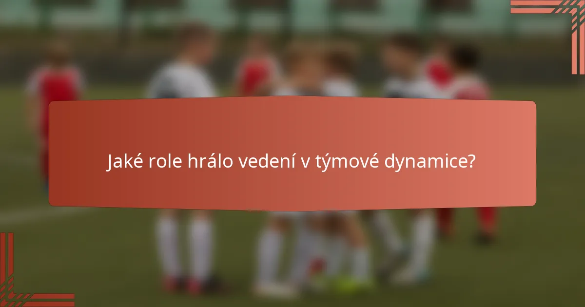 Jaké role hrálo vedení v týmové dynamice?